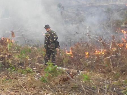 Kebakaran Lahan Terjadi di Desa Menaming, Rohul